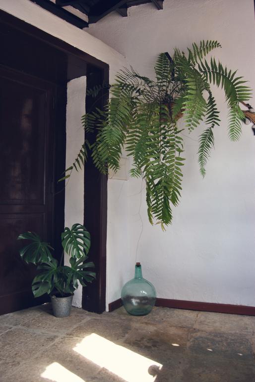 Casa Rural El Palmar Vallehermoso Eksteriør billede